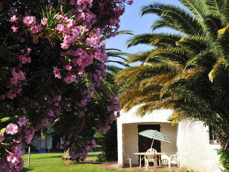 Hotel Le Domaine Du Mas Blanc By Popinns 阿伦亚 外观 照片